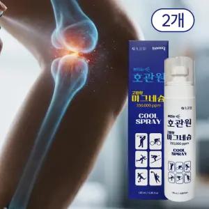 호관원 고함량 마그네슘 스프레이 쿨타입 120ml 2개 뿌리는 마그네슘