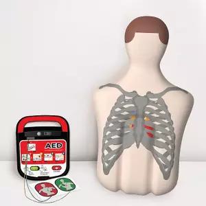 심장이 CPR 풍선 + AED모형 심장충격기 제세동기 심박이 심폐소생술 교육용