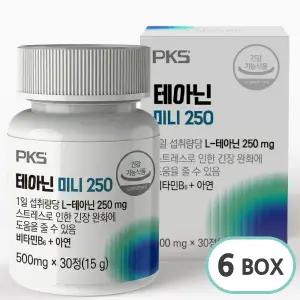 (6박스) 테아닌 미니 250 식약처 인정 스트레스 긴장완화 500mg x 30정