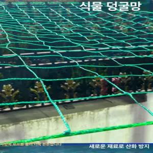 덩굴망 실물 고추망 그물 넝쿨 애플수박망 완두콩 호박 오이그물 농업용 지지대 메쉬