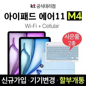 Apple 아이패드 에어 11 M4 스페이스그레이 1TB WiFi 셀룰러