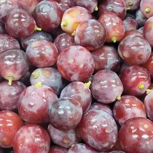 올바이 포도 못난이 알알이 레드글로브 2kg+2kg 수입적포도 쥬스용