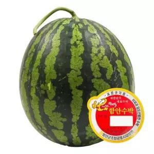 함안 가정용 하우스 수박 7-8kg
