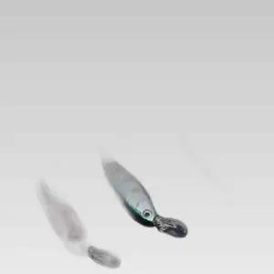계류낚시 쏘가리베이트