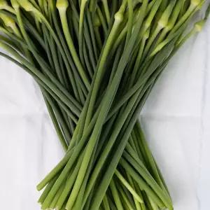 국내산 햇 마늘쫑 3kg /산지직송연구소