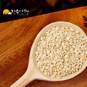 [장수양행]늘보리2Kg 국산 겉보리 2025