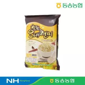 [동송농협] 25년산 철원오대현미 5kg #동송농협직영