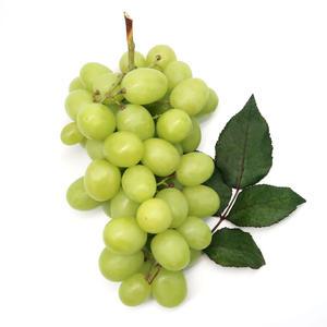 아삭아삭 오톰크리스피 애플청포도 1kg