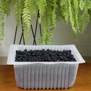 2025 햇 아로니아 냉동과 2.5kg 꼭지제거 줄기제거