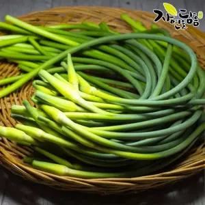 자연을담음 국내산 프리미엄 햇 남도 마늘쫑 2kg