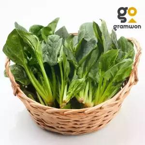 시금치 4KG 국내산 햇 제철 국거리 나물