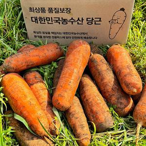 [대한민국농수산] 국내산 신선한 햇당근 흙당근 주스용 (못난이) 10kg