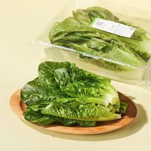 포기 로메인 (200g)