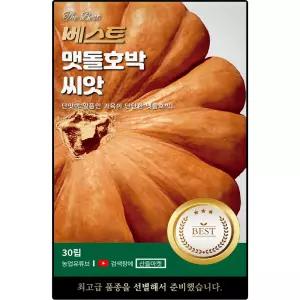 베스트 맷돌 호박 씨앗 30립 단맛이 좋은 단단한 고품질 호박씨 종자