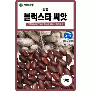 블랙스타 땅콩 씨앗 50립 인체에 좋은 성분 풍부한 기능성 흑땅콩씨 종자