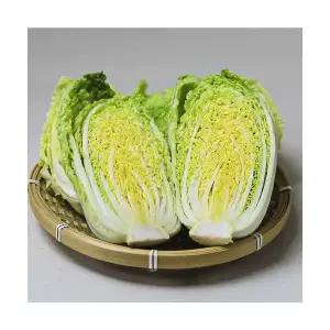 국산 남도 고기 쌈채소 봄동알배추 쌈배추 알배기배추 1kg