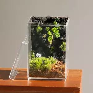테라리움 만들기 키트 제주애기모람 돌담 DIY 비바리움 이끼 키우기 세트 수업교재