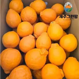 제주 하우스 한라봉 5kg (중대과/20~24과)