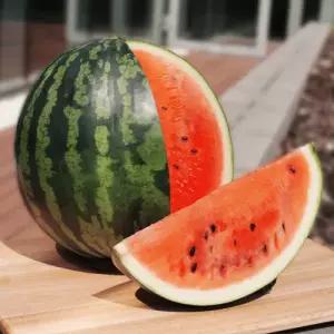수박 고당도 유명산지 비파괴 당도선별 수박 당도보장 가정용 11Brix, 6kg, 1개