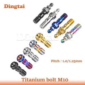 Dingtai 티타늄 볼트 M10x1.01.25mm 블리더 밸브가 있는 구멍 클러치 밴조