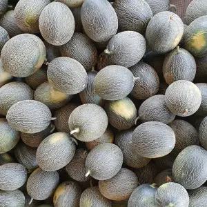 고령 그린 고당도 하미과메론 멜론 못난이 랜덤과 3kg 5kg