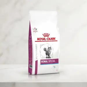 ROYAL CANIN 로얄캐닌 사료 캣 레날 스페셜 2kg 고양이 신부전 결석 관리 반려묘 처방