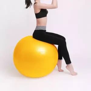 코어운동 짐볼 65cm 필라테스 헬스 스트레칭 균형운동 밸런스볼 돔볼