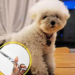 [룽스_61]숯가위 미용 이발 틴닝가위 숱가위 스테인리스