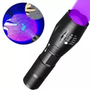 N6244 화폐식별 2IN1 줌 기능 UV LED 랜턴