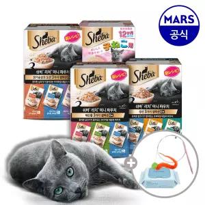 쉬바 미니 리치 35gx12개 골라담기+고양이낚시대+베베숲물티슈