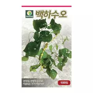 다농 백하수오 씨앗 50립