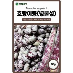 다농 호랑이콩 씨앗 30g 넝쿨성 강낭콩씨 종자