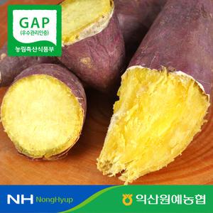 [익산원예농협] 국내산 익산 세척 꿀 고구마 특상 3kg