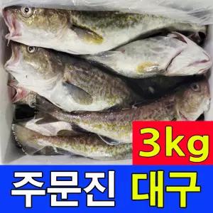 주문진 국내산 생물 생대구 3kg를 신선도 유지를 위해 급속냉동하여 발송 통대구