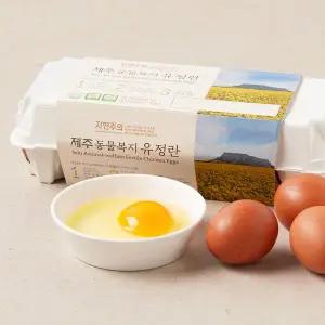 자연주의 제주 동물복지 유정란 10구 (520g)