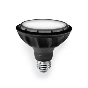 번개표 LED 램프 확산형 PAR30 블랙바디 15W, 주광색, 1개
