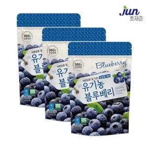 [호재준] 냉동 유기농 블루베리 500g x 3팩