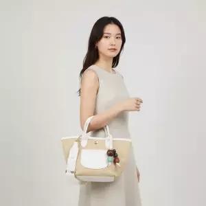롱샴 패세라 FW25 여성 플리아쥬 XS 파니에 10307 HGY 007