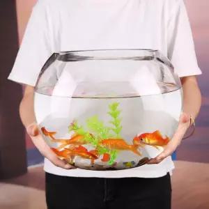 둥근 유리 어항 원형 맨통 인테리어 투명 바닥지름 25CM 수조 가정용
