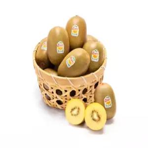 골드키위 제스프리 뉴질랜드 입안 꽉차는 달콤 상큼함 점보, 3.1kg, 1개