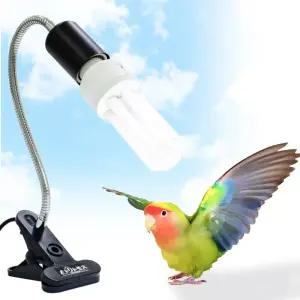 펑크스 토리토모수 새장 UVB 라이트 콤보 키트 모든 종류의 포획 새를 위한 AvianSun 램프 2.4 UVA 20W