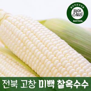 껍질 벗겨 진공포장 햇 냉동 미백/흑찰옥수수 21개