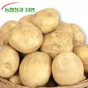 농협청과33번 감자 10kg 중 대 특 왕특 골라담기