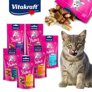 비타크래프트 캣얌 40g (6종)/고양이/무설탕/고기함량70%이상/간식/연어/치즈/치킨&캣글라스/헤어볼예방