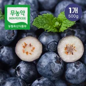 [영글어농장] 산지직송 26년 국산 무농약 생블루베리 대과 500g 1kg 2kg 16mm이상