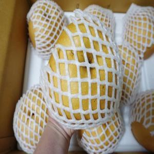 [나주배대장] 나주배 가정용 3kg,5kg 산지발송