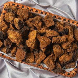 해품푸드 러시아 시베리아 차가버섯 1kg 최상품