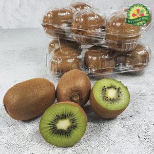 키위 그린키위 참다래 국산 40과(개당80g-90g내외)