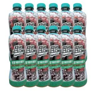 쟈뎅 시그니처 커피 로얄 헤이즐넛 900ml X 12개 커피음료