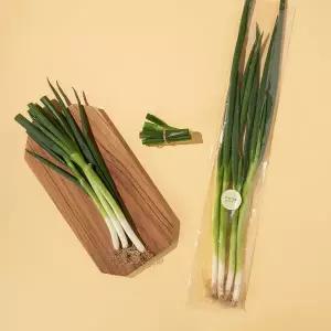 친환경 대파 300g/봉